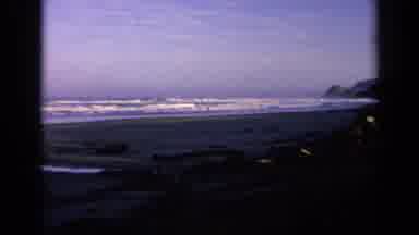 California USA (1963): Pair Of White Birds Standing On Beach On A Sunny Day