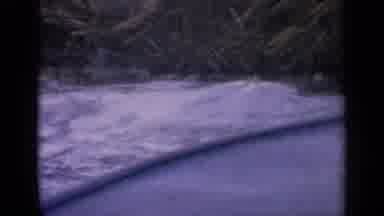 Idaho USA (1963): View Of Green Trees And Rushing Blue Waves On A Clear Day