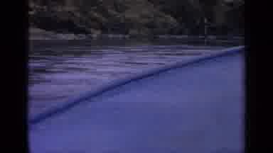 Idaho USA (1963): Boat In A Body Of Water Surrounded By Nature Involving Trees And