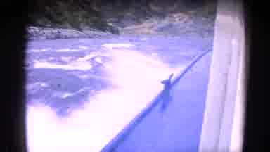 Idaho USA (1963): Boat Speeds To The Finish Of A Local Race To Win By A Hair!