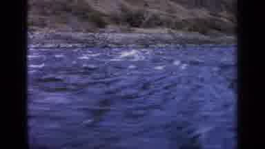 Idaho USA (1963): Bodies Of Water Flowing With Beautiful Waves And Green Trees