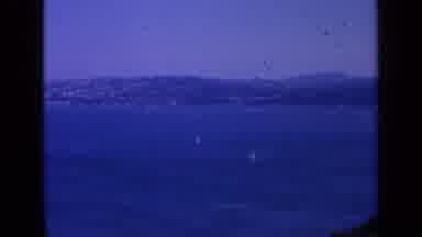 San Francisco California (1963): People Looking At Blue Sea And Mountains In A
