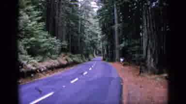 San Francisco California (1963): Deserted Two Lane Road Surrounded By Many Large