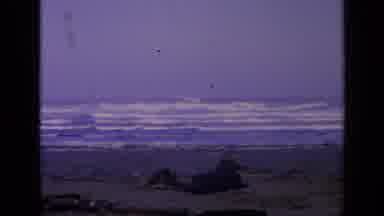 San Francisco California (1963): A Deserted Beach With Rough Surf And Dark Sand On