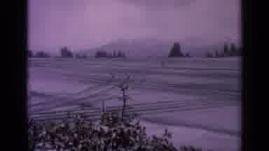 Washington USA (1963): Winter Storm Makes The Landscape Barren Of Any Human Or