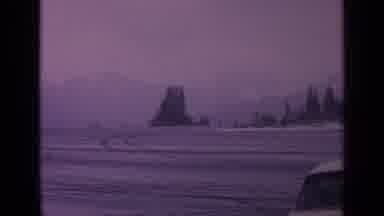 Washington USA (1963): Footage Of A Large Field With Trees And Mountains In The