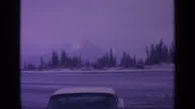 Washington USA (1963): View Of Trees With Light Snow Dust On A Clear Day
