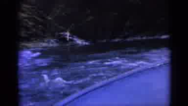 Washington USA (1963): Filming On Board A Boat Traveling Down A Calm Flowing River