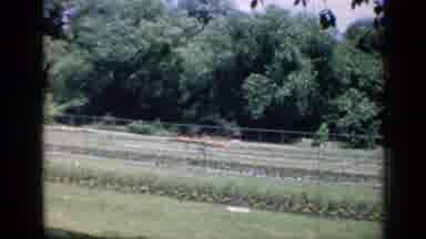 Chicago Illinois (1957): Video Recording Of A Field Outdoor In Valley With Plants