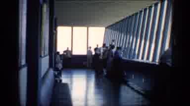 Chicago Illinois (1958): A Fun Day At The Zoo