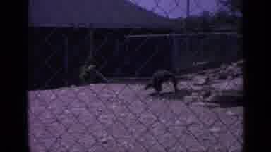 Colorado USA (1959): Two Men Talking On The Roof