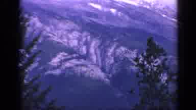 Colorado USA (1959): Big Mountain In The Distance With Tall Trees In Front Of It