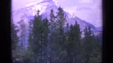 Colorado USA (1959): Mountain With Icy Tip In The Distance With Trees Close By