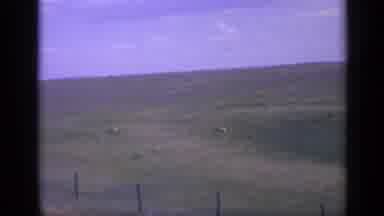 Colorado USA (1959): High Angle View Of A Large Open Grassy Field And Two Dears