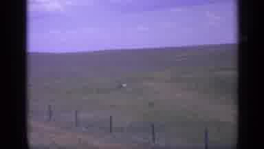 Colorado USA (1959): Typical Kid Bike Ride