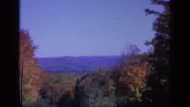 Colorado USA (1959): We Are Having A Good Time Looking At The Leaves On This