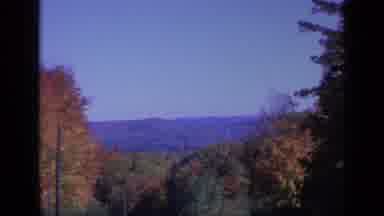 Colorado USA (1959): Beautiful Fall Foliage On The Tree Tops With Mountainous