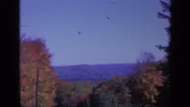 Colorado USA (1959): Beautiful Fall Day In The Mountains