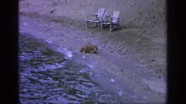 Greenwood Lake New York (1964): Man Wearing Blue Shorts Climbs Down Into Water On