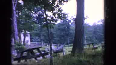 Greenwood Lake New York (1964): Picnic Tables Are Abandoned In The Woods With