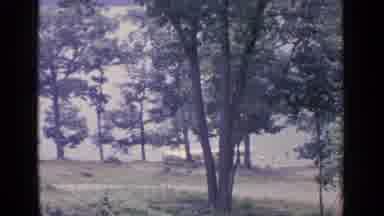 Greenwood Lake New York (1964): Blurry Sunny Regular Day In The Park By The Water