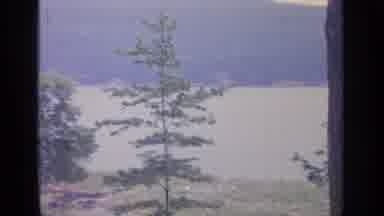 Greenwood Lake New York (1964): Beautiful Trees And Scenery