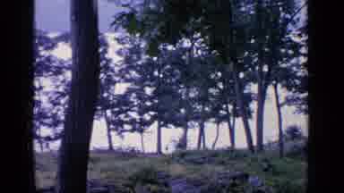 Greenwood Lake New York (1964): Old And Young Trees And Hills With Old White Wood
