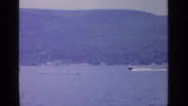 Greenwood Lake New York (1964): Large White Polar Bear Sniffing Something That Is