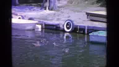 Greenwood Lake New York-1964: Ducks Swimming Near Dock With Rowboats