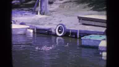 Greenwood Lake New York (1964): Sunny Day Showing Lake With Ducks And People