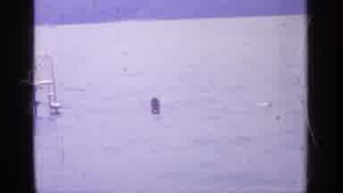 Greenwood Lake New York (1964): This Is About A Purple Tree And A Kid Swimming In