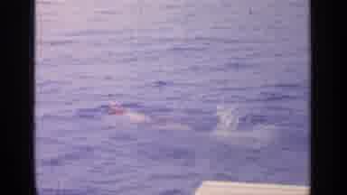 Greenwood Lake New York (1964): Passangers Boarding A Large Passanger Airplane By