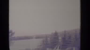 Greenwood Lake New York (1964): View Of Green Trees And Lake On A Windy Day