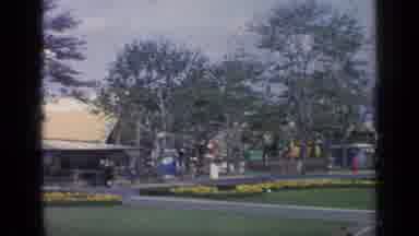 Flushing Meadows New York (1964): Cut Even Grass Sprouting Flowers Near Thin Trees