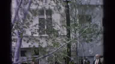 Flushing Meadows New York (1964): People Celebrating Christmas Function At Their