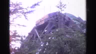 Flushing Meadows New York (1964): Tiger Roaming In A Zoo With A Water Ride