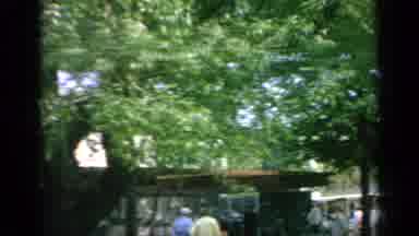 Flushing Meadows New York (1964): A Scenery Of Trees Then Cuts To A The Street