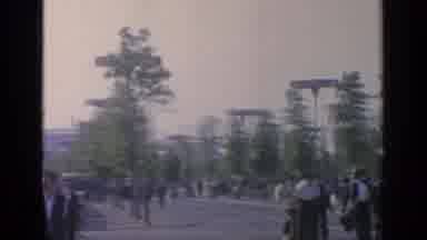 Flushing Meadows New York (1964): View Of White Dome And Yellow Flowers On A