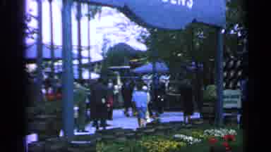 Flushing Meadows New York (1964): Man Guides Pair Of Horses Dressed In Silver In