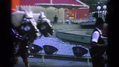 Flushing Meadows New York (1964): Man Wearing Black Shorts Walks With Brown Horses