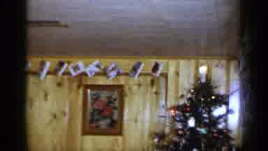 Long Island New York (1965): Women At Home During The Holiday