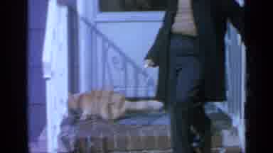 Long Island New York (1965): Young Boy Standing On A Small Front Porch With A