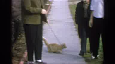 Long Island New York (1965): Two Women And Young Boy Walk Down City Sidewalk One