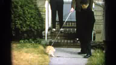 Long Island New York (1965): Three Women And A Boy And A Leashed Cat Standing On