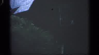 Massachusetts USA (1968): Family Outside Of Home Pans Out To Man Picking Something