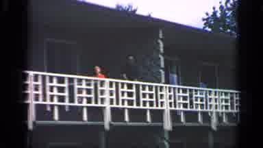 Massachusetts USA (1968): Peacock Bird Free Roaming Zoo Grounds Showing Plumage