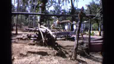India (1970): Wooden Object And Green Trees On A Bright Sunny Day