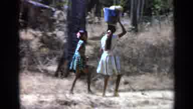 India (1970): Two Kids Walking Under The Coconut Tree With One Of Them Carrying