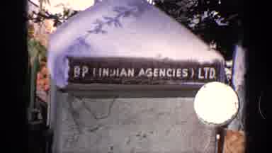 India (1970): An Indian Reservations With Animals Roaming Around
