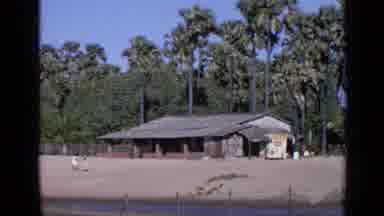 India (1970): Beach With Palms And A Building